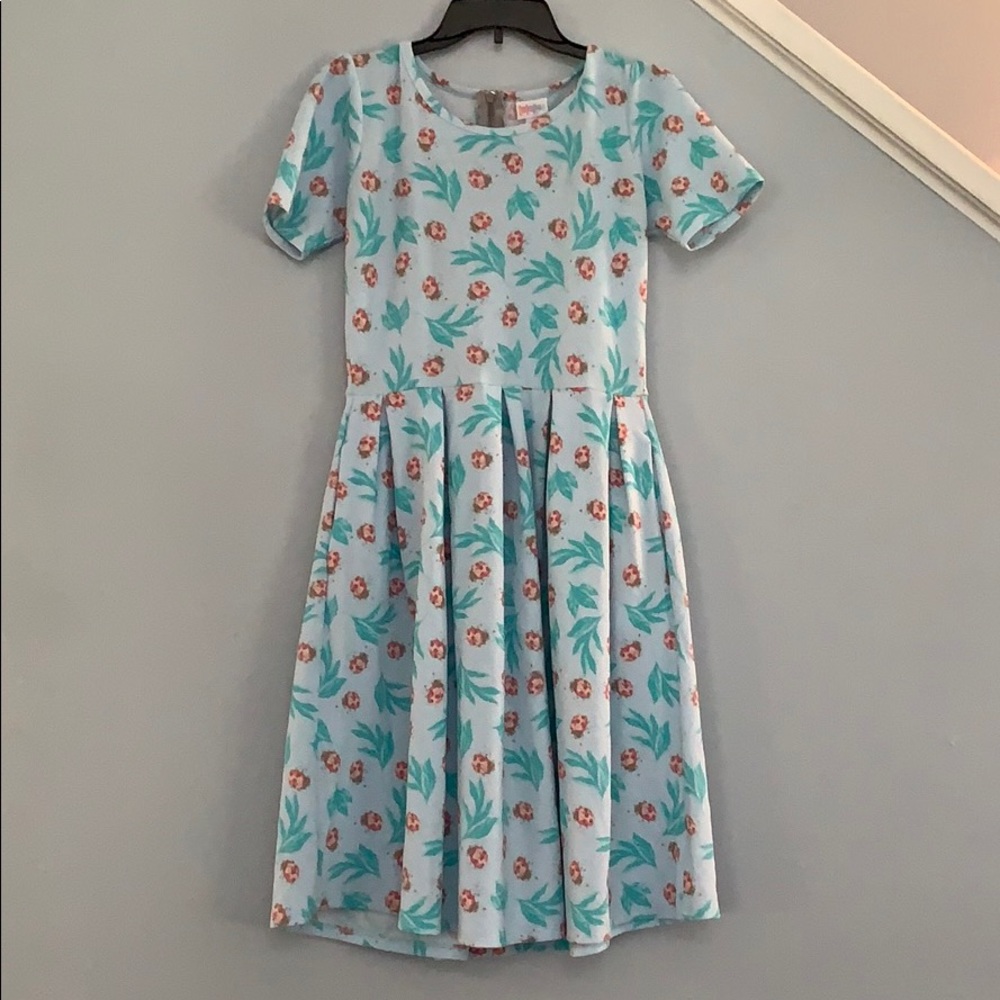 Lularoe Amelia lady bug dress